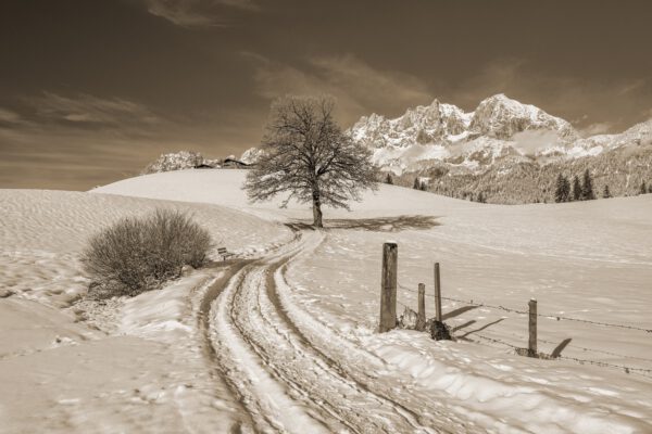 Bild Winterlanschaft am Berg