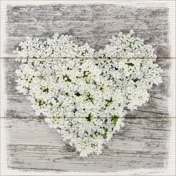 Bild Flowerheart
