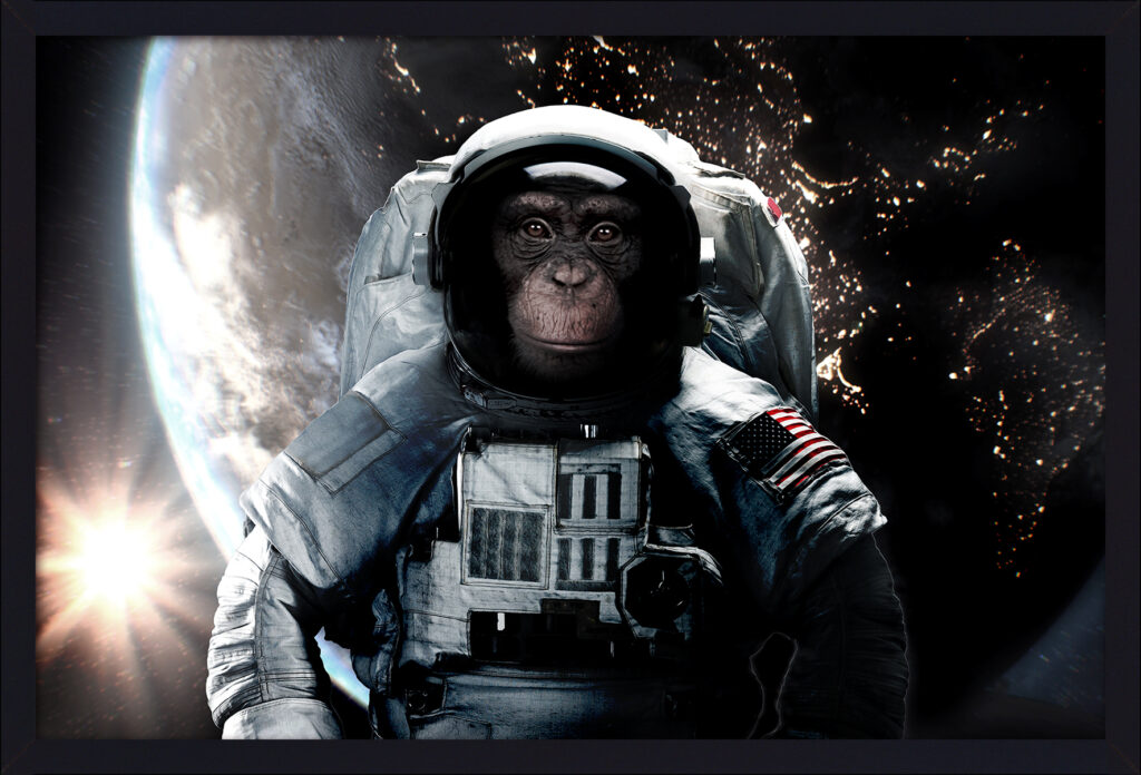 Bild First Astronaut